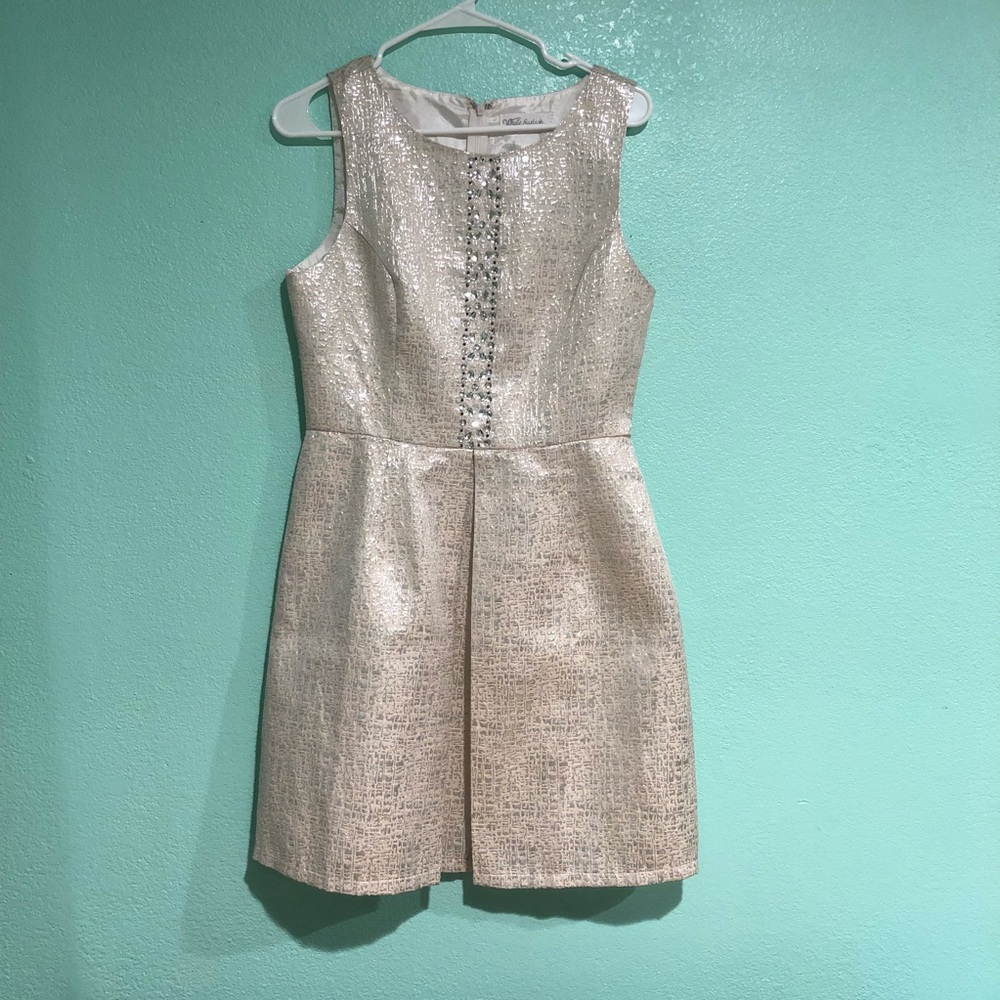 White and Silver Sleveless Dress